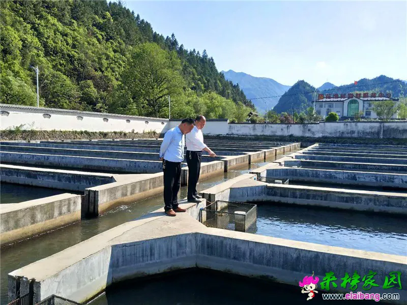 微信图片_20200429190245.webp