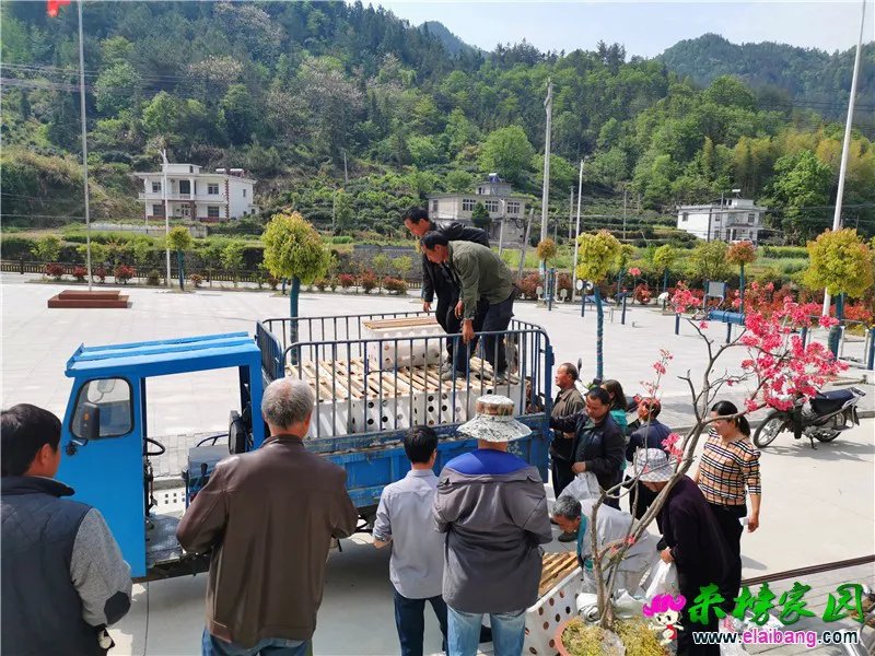 微信图片_20200430200442.webp