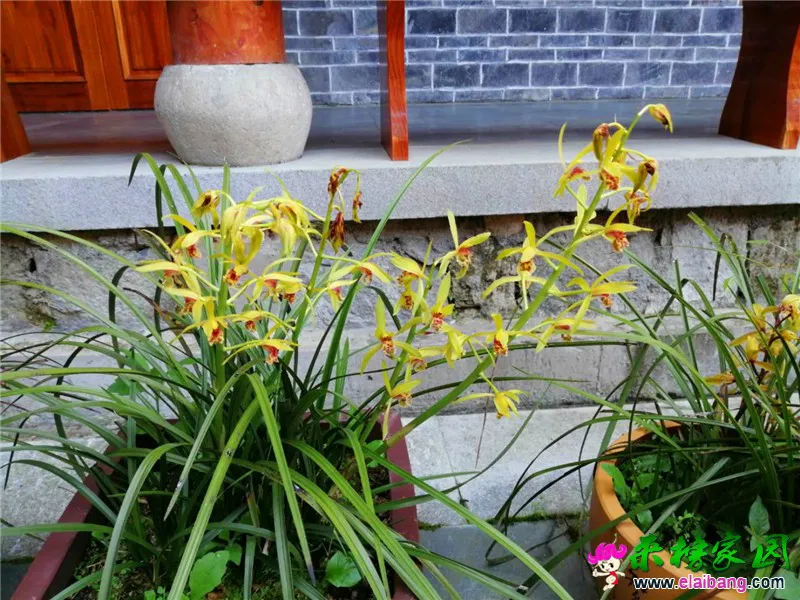 微信图片_20200504203412.webp