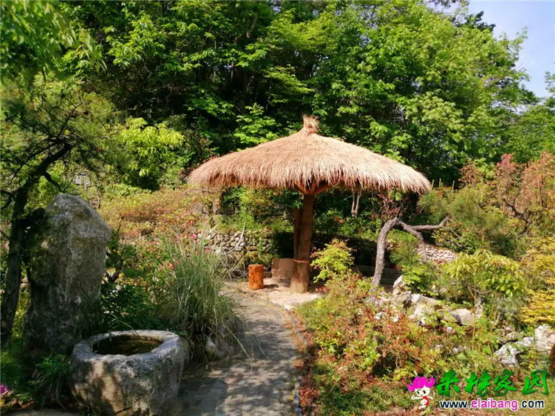 微信图片_20200504203407.webp