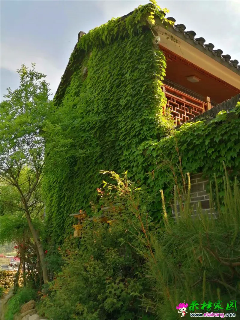 微信图片_20200504203410.webp