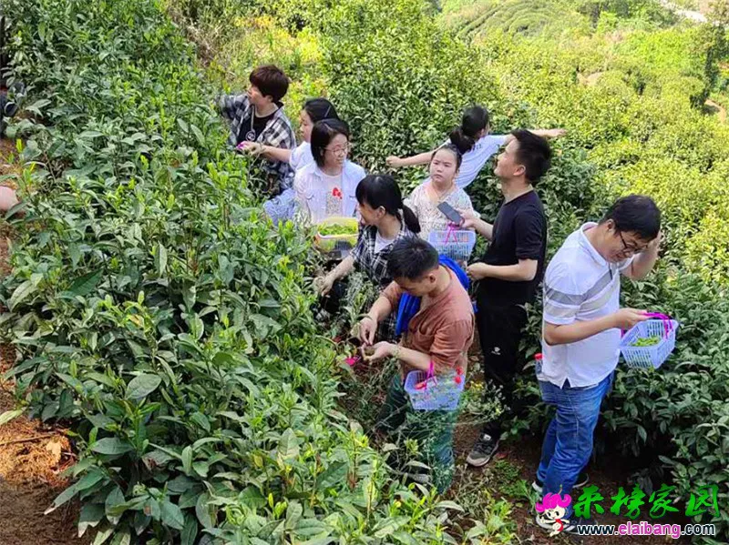 微信图片_20200502220227.webp