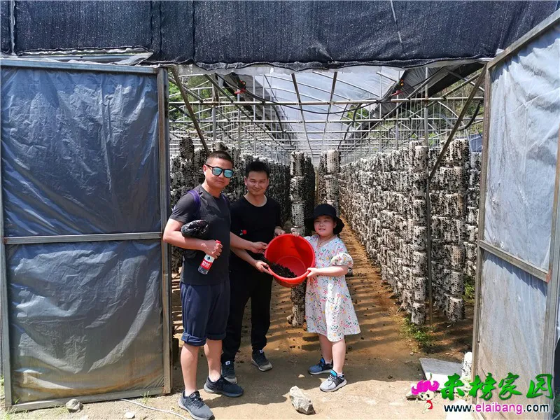 微信图片_20200502220234.webp