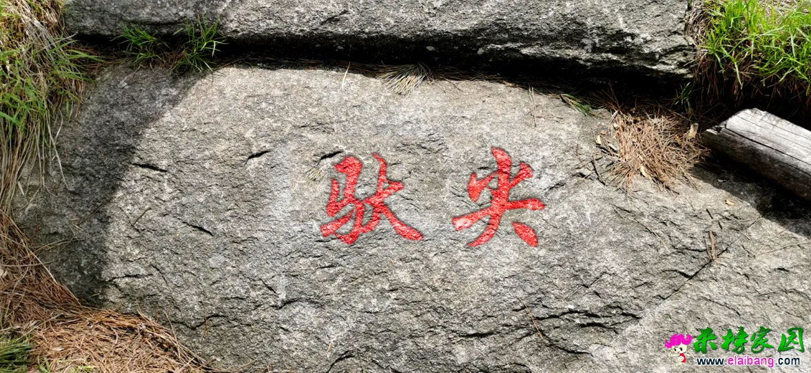 微信图片_20200505220641.webp