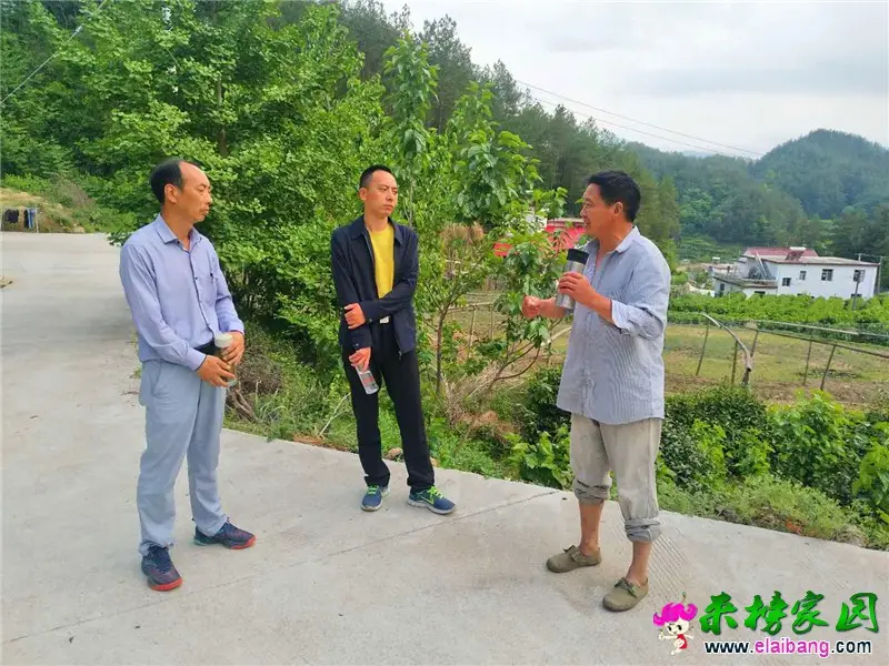 微信图片_20200506191710.webp