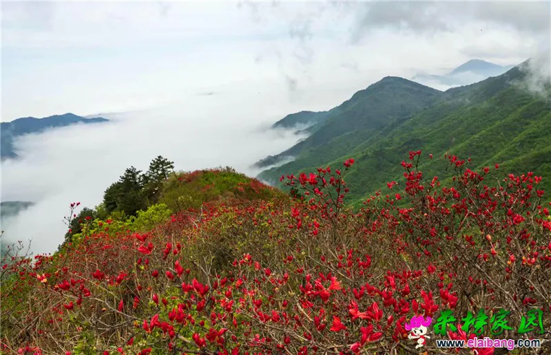 微信图片_20200507202653.webp