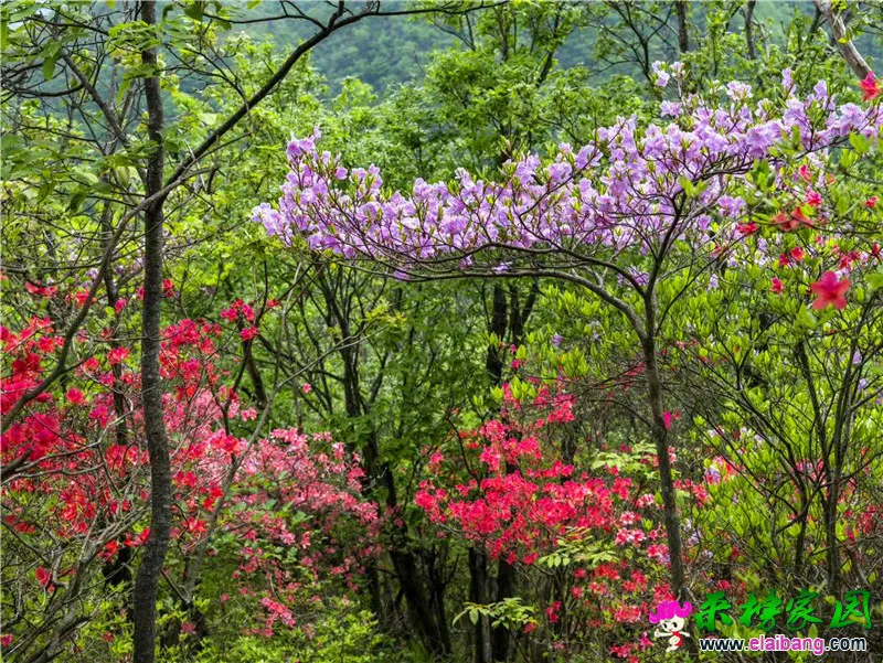 微信图片_20200507202715.webp