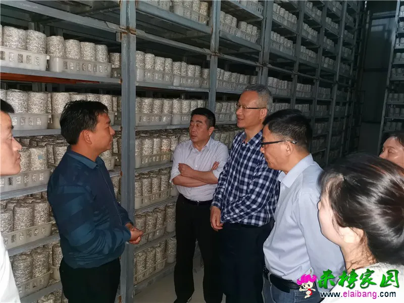 微信图片_20200508171639.webp