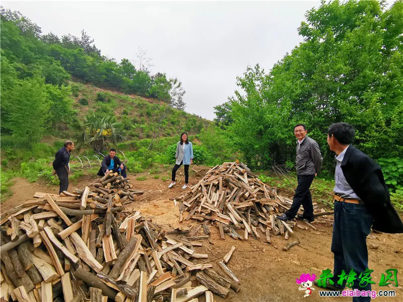 微信图片_20200508171632.webp