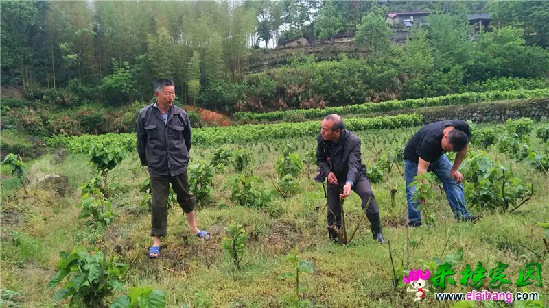 微信图片_20200508171647.webp