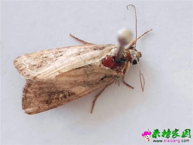 微信图片_20200509214417.webp