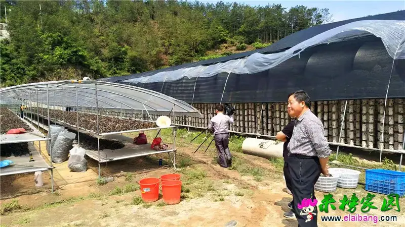 微信图片_20200509214414.webp