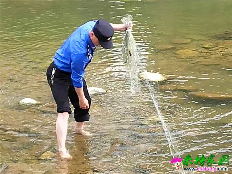 微信图片_20200511174302.webp