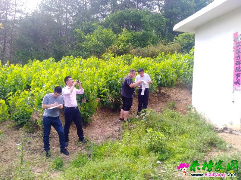 微信图片_20200511174309.webp