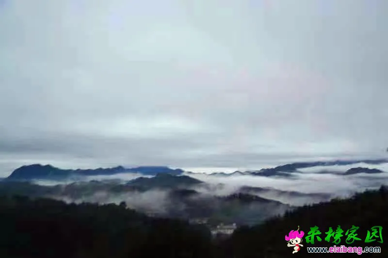微信图片_20200511192052.webp