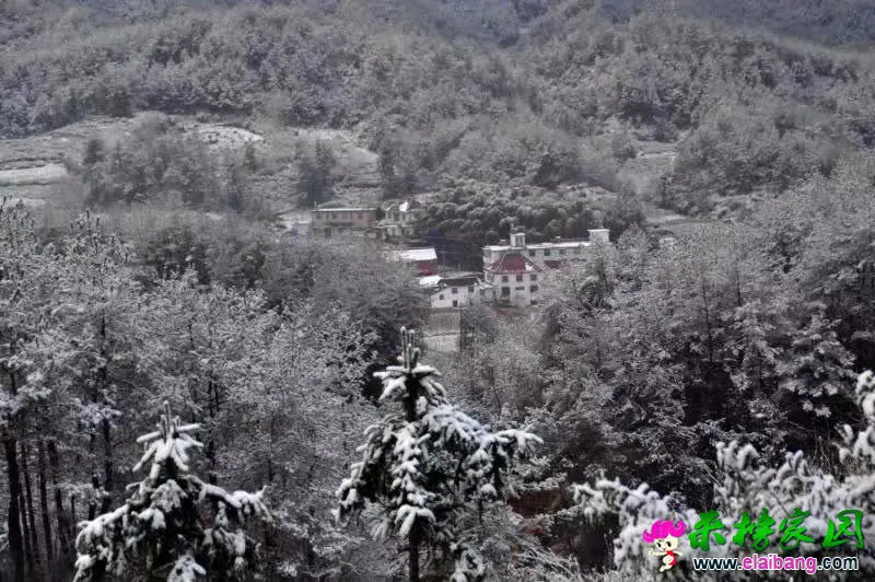 微信图片_20200511192048.webp