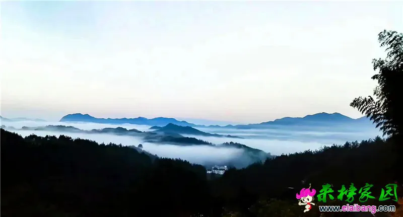 微信图片_20200511192058.webp