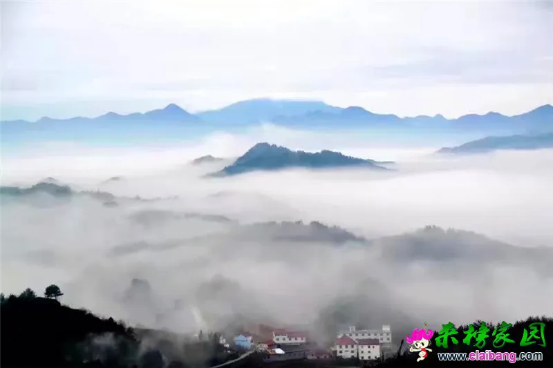 微信图片_20200511192105.webp