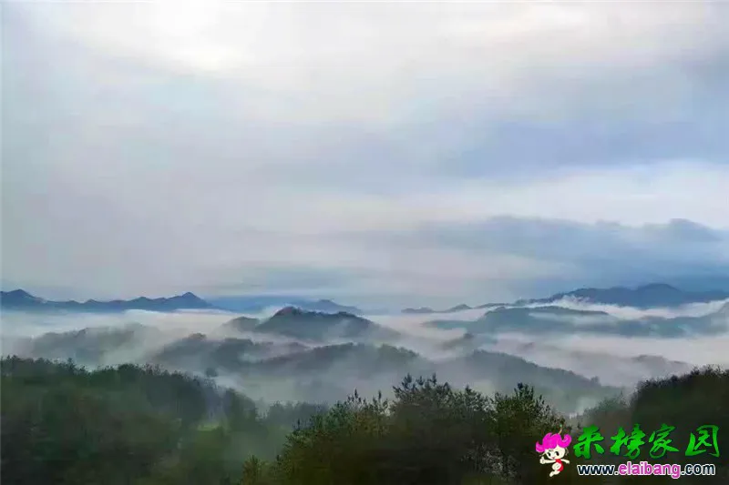 微信图片_20200511192102.webp