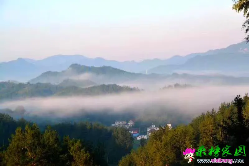 微信图片_20200511192110.webp