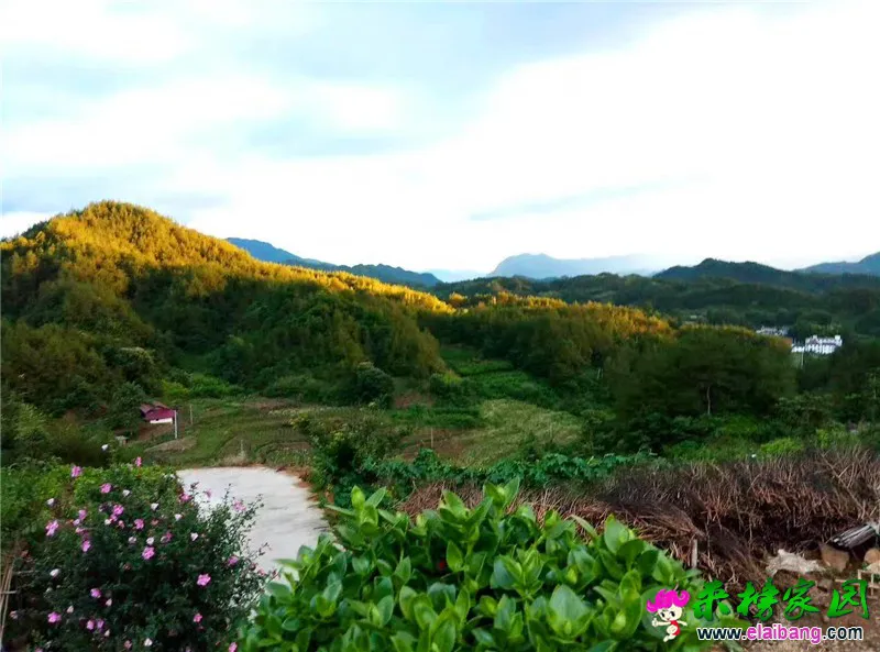 微信图片_20200511192108.webp