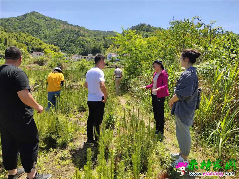 微信图片_20200512220004.webp