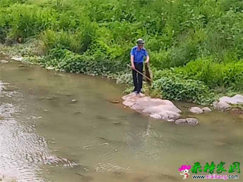 微信图片_20200512220034.webp