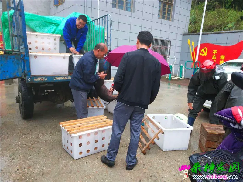微信图片_20200514153701.webp