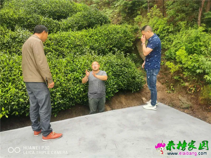 微信图片_20200514153722.webp