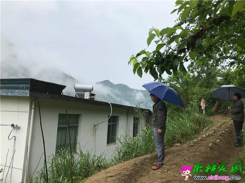 微信图片_20200514153738.webp