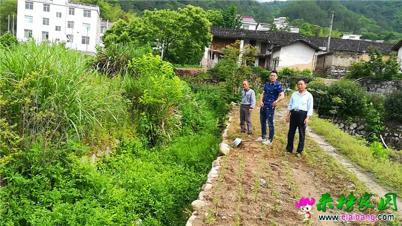微信图片_20200515212138.webp