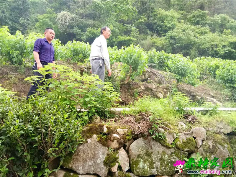 微信图片_20200515212220.webp