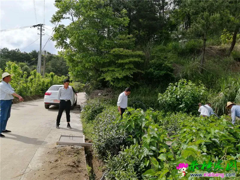 微信图片_20200516205550.webp