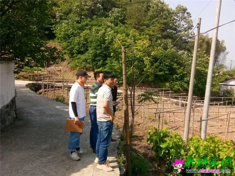 微信图片_20200518171509.webp