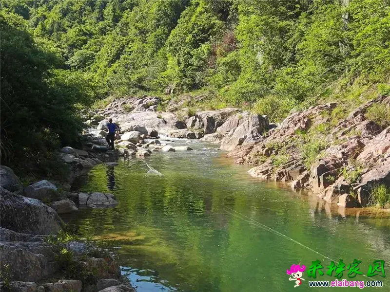 微信图片_20200518172320.webp
