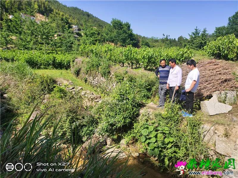 微信图片_20200518172328.webp