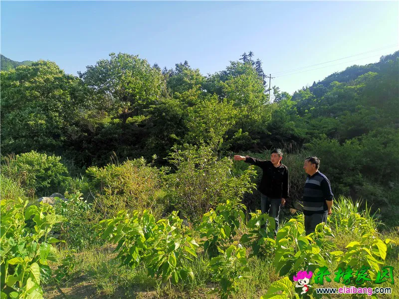 微信图片_20200518172331.webp