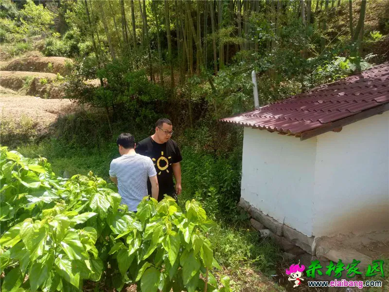 微信图片_20200518171532.webp