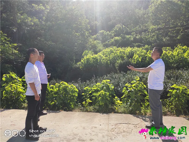 微信图片_20200518195952.webp
