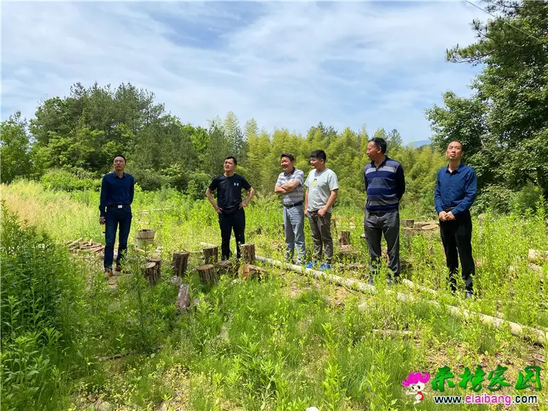 微信图片_20200519160839.webp