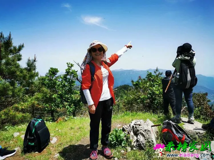 c8518b5dda6186d4637e9d4a95c9df7d.webp