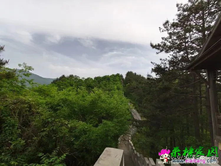 ee64b8ac930038d04bab5a45764ee256.webp