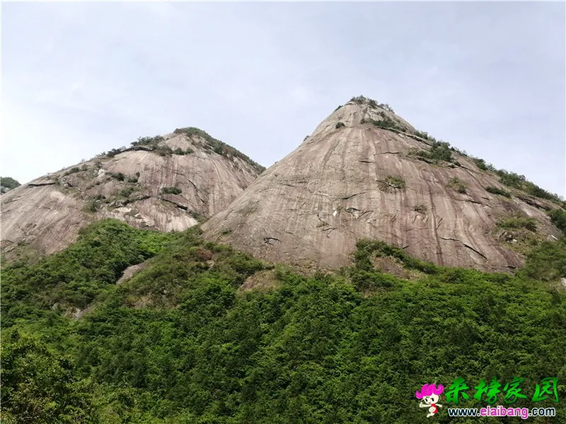 微信图片_20200520205323.webp