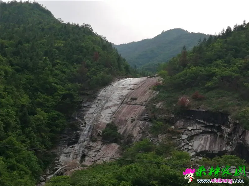微信图片_20200520205319.webp