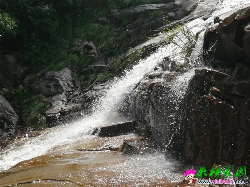 微信图片_20200520205321.webp