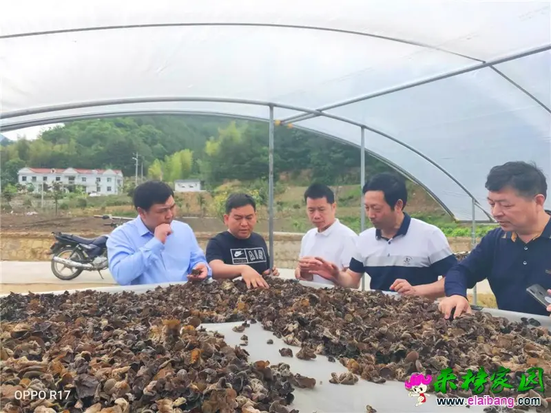 微信图片_20200521155048.webp