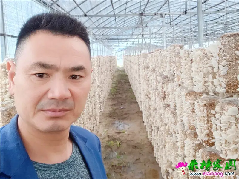 微信图片_20200521155036.webp