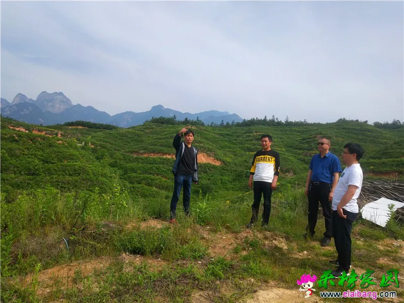 微信图片_20200522164738.webp