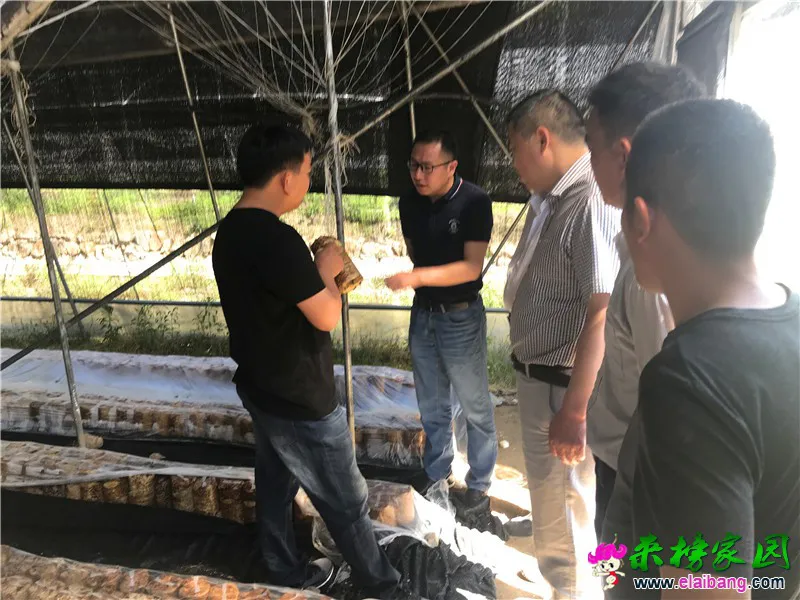 微信图片_20200523213601.webp
