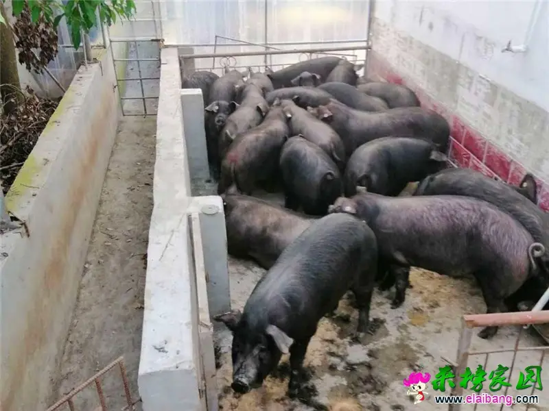 WeChat Image_20200524190722.webp